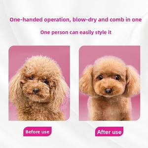 Secador de Pelo <span class=keywords><strong>para</strong></span> Mascotas, <span class=keywords><strong>para</strong></span> Golden Retrievers, Peluquería Canina, Secador de Pelo, Soplador <span class=keywords><strong>para</strong></span> Peinar el Pelo, Silencioso, Suave, Circulación de Aire 360, con un Solo Botón - Product Image 4
