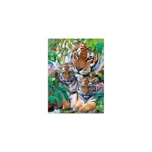 Imagen Lenticular 3D de Animales Tigres, Impresión Lenticular para Decoración, Proveedor de Guangzhou - Product Image 3