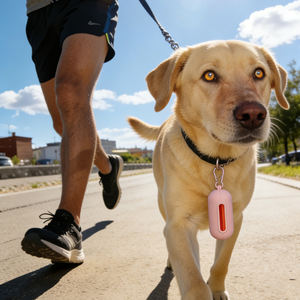 휴대용 실리콘 반려동물 배변봉투 디스펜서, 야외 배변 수거용 보관함 - Product Image 2