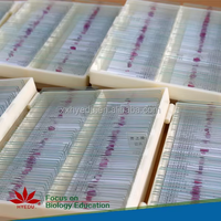 Individual human System Pathology prepared microscope slides ,human pathology slides