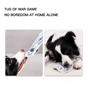 Le plus nouveau jouet à mâcher pour <span class=keywords><strong>chien</strong></span> écologique Simulation de journal <span class=keywords><strong>Poker</strong></span> accessoire résistant aux morsures - Product Image 3