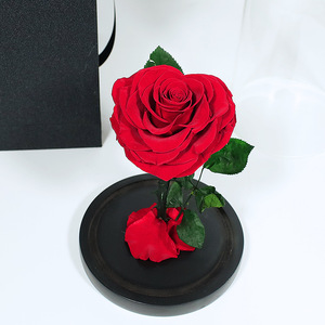 Regalo de San Valentín, <span class=keywords><strong>El</strong></span> <span class=keywords><strong>Principito</strong></span> de Alto Nivel de Diseño, para Flor Eterna, Cubierta de Cristal, Rosa Real, Adornos, Transfronterizo, Sin Luz - Product Image 3