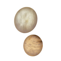 Applique murale moderne en albâtre naturel, lampe murale LED de luxe en laiton et pierre espagnole pour chambre à coucher, chevet, salon, hôtel
