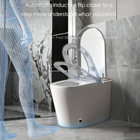 WC intelligent avec bidet 1000g MaP, ouverture/fermeture automatique, distributeur de mousse, chasse d'eau automatique, siège chauffant, réservoir intégré, allongé, télécommande, vente en gros