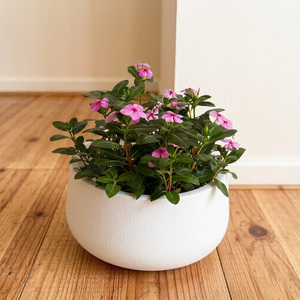 <span class=keywords><strong>Jardinière</strong></span> en plastique, fabrication par moulage direct, design à bord large et rond, style minimaliste, idéale pour la décoration du jardin et de la maison/bureau. - Product Image 5