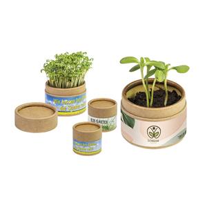 Kit de plantation Eco Pot In Bloom avec graines et terre pour le jardinage intérieur - Product Image 1