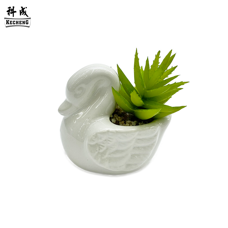Cigno addormentato (miscela succulenta)