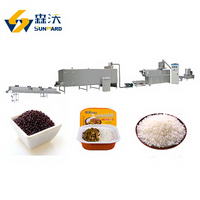 Extrudeuse industrielle à double vis en acier inoxydable SS304 de qualité alimentaire pour la production de riz artificiel, riz fortifié, riz doré et ligne de production de riz FRK
