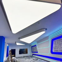 Film souple lumineux LED pour plafond en tissu tendu PVC ignifuge, très demandé