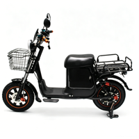 Vélo cargo électrique 60V résistant au froid LiFePO4 1000W pour livraison en Russie