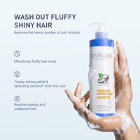 Divasea Shampooing Professionnel Réparateur Protection Couleur à l'Huile d'Argan, Kératine et Vitamine E, Sans Sulfate, Soin pour Cheveux Teints et Abîmés 500ml