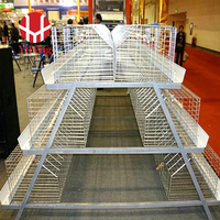 Cage d'élevage de poulets de type A à haute capacité avec cadre galvanisé pour les fermes avicoles commerciales, fournisseur d'équipements d'élevage de volailles