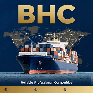 Servizio di Spedizione Marittima DDP Economico dalla Cina a USA, Regno Unito, Francia - Servizi Logistici Sicuri Porta a Porta per il Commercio Globale - Product Image 2