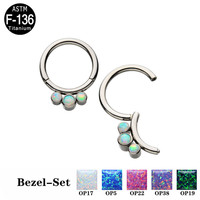 ASTM F136 G23 anneaux de Segment à charnière en titane avec Zircon cubique opale pierre anneaux de nez boucle d'oreille cercle femmes Piercing bijoux de corps