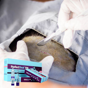 Pet Suture <strong>Glue</strong> for <strong>Wound</strong> With Ampoule Pack | Incision <strong>Glue</strong> | Liquid Skin <strong>Glue</strong> - Product Image 6