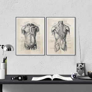 Impressions et affiches d'art d'<span class=keywords><strong>anatomie</strong></span> humaine, affiches d'<span class=keywords><strong>anatomie</strong></span> vintage peinture sur toile art mural photos décoration de clinique de médecin - Product Image 2