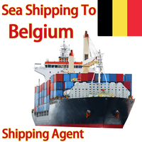 Servicios de Envío Puerta a Puerta DDP, Agente de Transporte Marítimo de China a Reino Unido, Alemania, Bélgica, Italia, Europa, DAP, FCL, LCL
