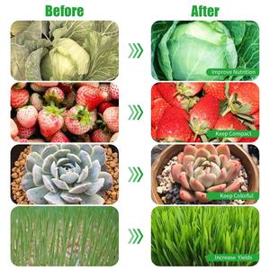 COB PAR30 식물은 저렴한 가격을 사용하여 가벼운 내구성 24W 실내 식물 성장 전구 - Product Image 6