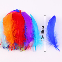 Großhandel Gänse feder 15-22CM 100Pcs/10-15CM 100Pcs DIY Modedesigner Handwerk Träumer Kleidung Dekoration