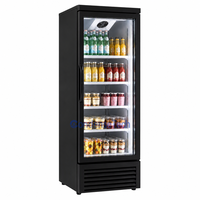 Congélateur vertical à vitrine en verre trempé, écoénergétique, à refroidissement par air, pour la conservation des aliments surgelés dans les cuisines de restaurants