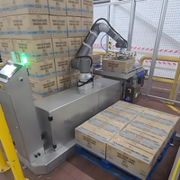 Robot palettiseur automatique collaboratif Machine à empiler Cobot Carton Case Bag Palettizer PLC Discount Price Robot Stacker Food