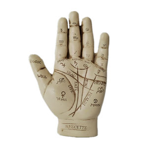 Scultura in resina Fortune Telling Palm Reading con libretto Palmistry Hand Model - Product Image 1