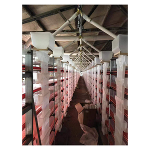 720 chim cút thị trường tốt 6 tầng mạ kẽm nhúng nóng tự động lồng chim cút Trắng/Nhà cung cấp lồng chim cút cho lớp sản xuất trứng - Product Image 5