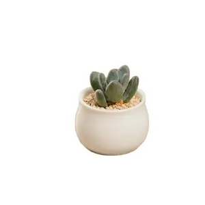 Mini maceta de cerámica creativa, maceta para flores suculentas, muebles de escritorio, maceta pequeña en forma de tambor, venta al por mayor