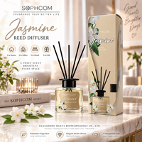 Diffuseur de parfum sur mesure 120 ml avec étiquette de bouteille personnalisée, parfum et boîte pour programme de développement de marque de luxe
