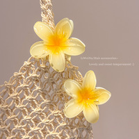 Accessoires pour cheveux pour femmes et filles, barrettes en plastique épaisses/fines décoratives à fleurs hawaïennes, style Art déco pour la plage et les anniversaires