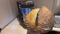 Borstelloze motor 750W kantelbare kop verwijderbare kom brood pizza amasadora deegkneedmachine spiraal deegmixer 5L 2Kg
