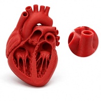 Modèle de cœur anatomique imprimé en 3D FDM en PLA pour la formation médicale, la recherche et le développement, l'éducation, prototype personnalisé OEM