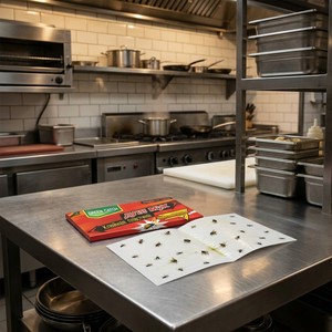 Trappola Adesiva per Mosche a Forma di Libro, Carta Pieghevole per Catturare Insetti, Controllo Parassiti per Interni, Trappola Non Tossica per Insetti per Casa e Cucina OEM - Product Image 1