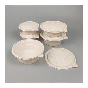 Disposable Lunch Boxes Degradable Suppliers Sugarcane Pulp Hamburger Camping Sugarcane Bagasse Gift Sunkea Food Packaging Boxes