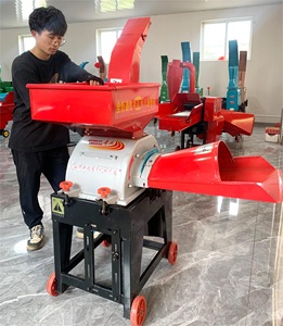 Macchina Trituratrice per Steli di Mais ed Erba, Macchina Taglia-Paglia e Frantumatore, Macinatore di Mais e Cereali, Macchina per la Macinazione della Farina di Mais - Product Image 5