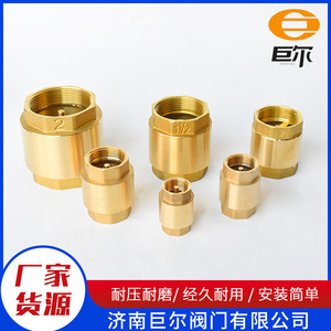 Vanne de retenue à filetage interne tout en cuivre 4/6/1 pouce Vanne de retenue à ressort épaissi avec compteur d'eau vertical - Product Image 2