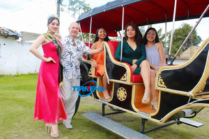 <span class=keywords><strong>Limousine</strong></span> fantastique/transport électrique touristique de <span class=keywords><strong>mariage</strong></span>/chariot Victoria de conte de fées pour le camping - Product Image 6