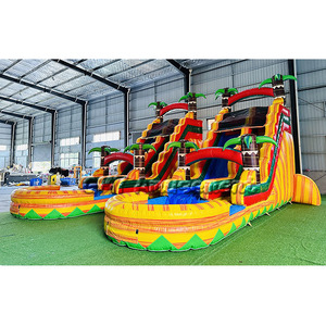 Nhiệm Vụ Nặng Nề Bằng Đá Cẩm Thạch Màu Xanh 20ft Cao Cá Heo Inflatable + Nước + Trượt Lớn Trượt Nước Inflatable Với Blower - Product Image 6