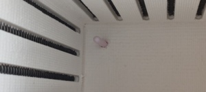 Forno a Muffola Digitale Programmabile 1200 ° Forno a camera da laboratorio C |   Per la determinazione della percentuale di ceneri, la cenerizzazione, il trattamento termico - Product Image 5