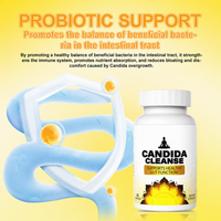 Capsules à Effet Rapide 60 Unités pour la Santé Intestinale, Soutien du Côlon, Fonction Végétale, Bien-être Corporel Adulte, Détox Intestinale, Nettoyage Candida