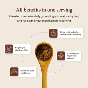 Poudre de Reishi de haute qualité, marque privée, pour l'équilibre du système immunitaire, la santé du foie, la détoxification et la protection antioxydante - Product Image 4