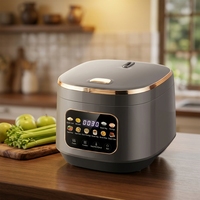 Autocuiseur intelligent multifonctionnel WT-A13-3.0L avec 10 modes de cuisson, minuterie 24h et maintien au chaud 24h pour la cuisson des aliments en gros