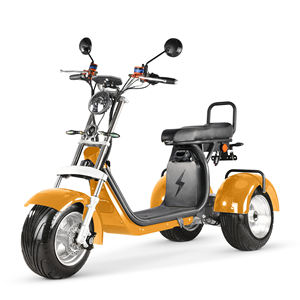Tricycle électrique 2026 4000W à double moteur, Citycoco puissant à <span class=keywords><strong>3</strong></span> <span class=keywords><strong>roues</strong></span>, avec grande batterie au lithium - Product Image 6