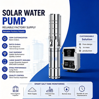 Bomba de Agua Sumergible para Pozos, Alimentada por Energía Solar, AC/DC, para Áreas Montañosas y Remotas, Proveedor de Bombas de Agua Confiable, Certificación ISO/CE