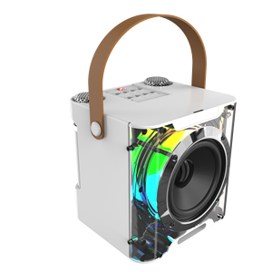 Gia đình Đảng High Power Home <span class=keywords><strong>bluetooth</strong></span> loa karaoke Loa không dây với microphone YS 203/ys308 - Product Image 3