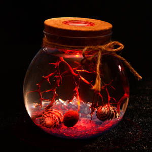 Pot scellé rond en verre transparent avec télécommande et couvercles en liège microlandscape <span class=keywords><strong>boule</strong></span> d'algues de mer mousse bouteille écologique pour la décoration de la maison - Product Image 2