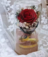 2025 grosir gaya baru botol harapan bunga diawetkan Mini dalam kaca untuk hadiah Festival dekorasi rumah.
