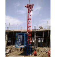 Monte-charge à mât unique et double cage pour matériaux, capacité 1000 kg, pour bâtiment et rénovation