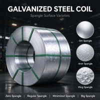 Bobine d'acier galvanisé à chaud de qualité Dx51D+Z, laminée à chaud, 0,35-2,5 mm, ASTM/GB, pour équipements de rayonnage et de stockage – Meilleures ventes