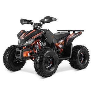 Tao Motor 150cc Quad Pas Cher - Product Image 2